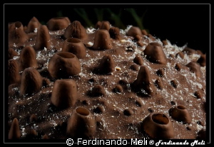 Very similar to a dry land whit volcanoes by Ferdinando Meli 